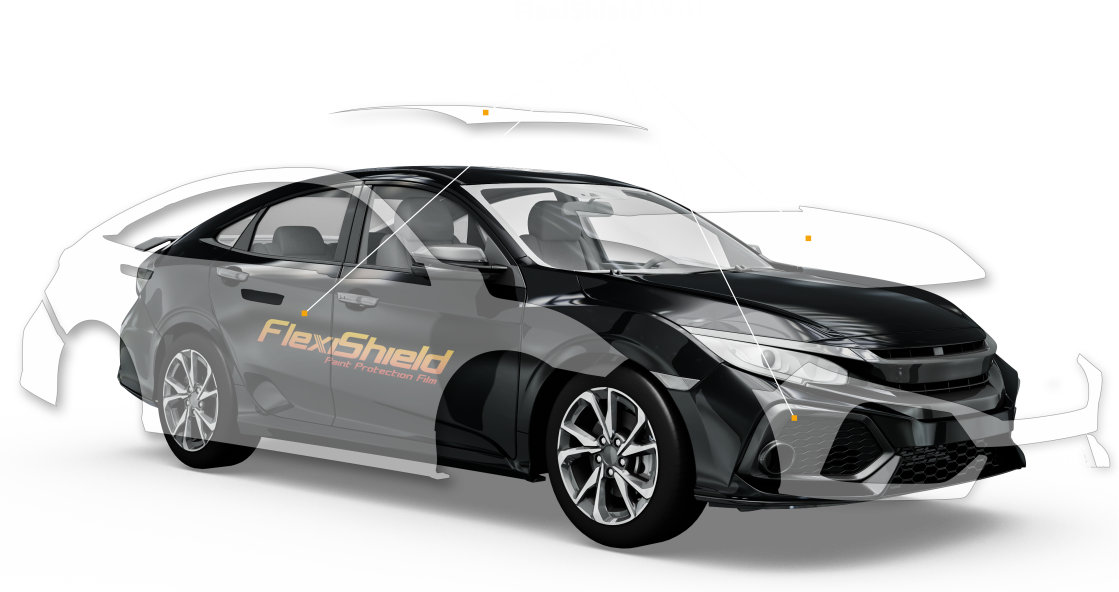 Protection carrosserie WSH PRO - Flexishield